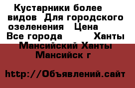 Кустарники более 100 видов. Для городского озеленения › Цена ­ 70 - Все города  »    . Ханты-Мансийский,Ханты-Мансийск г.